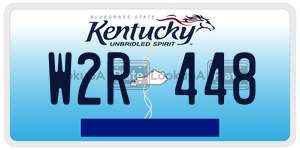 W2R448  license plate in KY