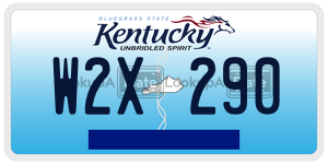 W2X290  license plate in KY