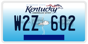 W2Z602  license plate in KY