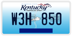 W3H850  license plate in KY