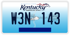 W3N143  license plate in KY