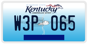 W3P065  license plate in KY