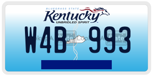 W4B993  license plate in KY