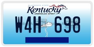 W4H698  license plate in KY