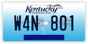 W4N801  license plate in KY