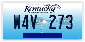 W4V273  license plate in KY