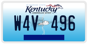 W4V496  license plate in KY