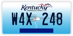 W4X248  license plate in KY