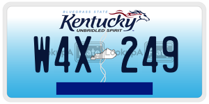 W4X249  license plate in KY