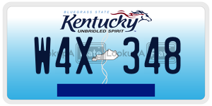 W4X348  license plate in KY