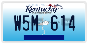 W5M614  license plate in KY