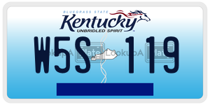 W5S119  license plate in KY