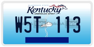 W5T113  license plate in KY