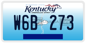 W6B273 license plate in Kentucky
