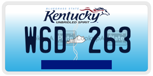 W6D263  license plate in KY
