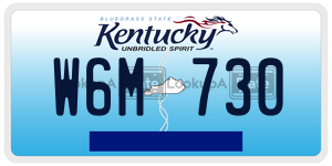 W6M730  license plate in KY