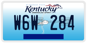 W6W284  license plate in KY