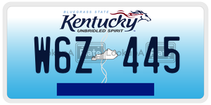 W6Z445  license plate in KY