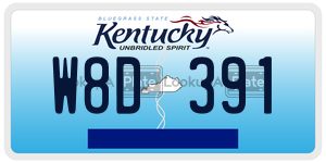 W8D391  license plate in KY