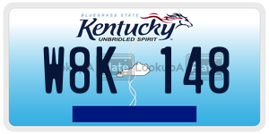 W8K148  license plate in KY