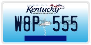 W8P555  license plate in KY