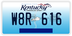 W8R616  license plate in KY