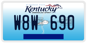 W8W690  license plate in KY
