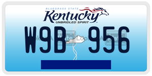 W9B956  license plate in KY