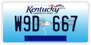 W9D667  license plate in KY