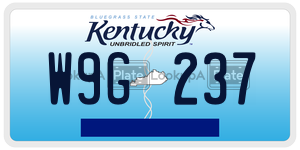 W9G237  license plate in KY