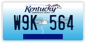 W9K564  license plate in KY