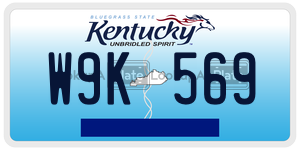 W9K569  license plate in KY