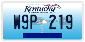 W9P219  license plate in KY
