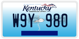 W9Y980  license plate in KY