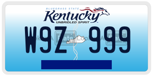 W9Z999  license plate in KY