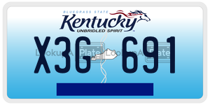 X3G691  license plate in KY