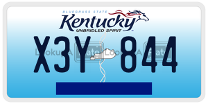 X3Y844  license plate in KY