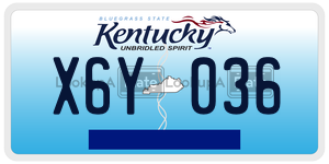X6Y036  license plate in KY