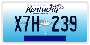 X7H239  license plate in KY