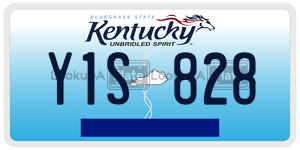 Y1S828  license plate in KY