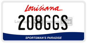 208GGS  license plate in LA