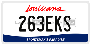 263EKS  license plate in LA