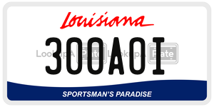 300AOI  license plate in LA