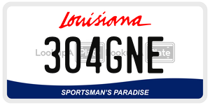 304GNE  license plate in LA