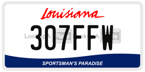 307FFW  license plate in LA