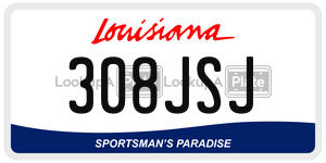 308JSJ  license plate in LA