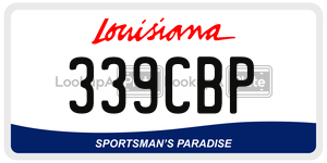 339CBP  license plate in LA