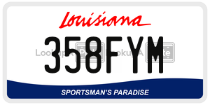 358FYM  license plate in LA