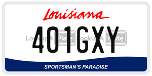 401GXY  license plate in LA