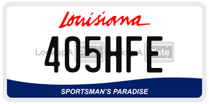 405HFE  license plate in LA